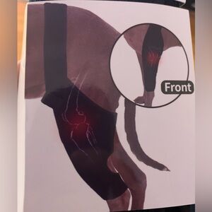 Dog Knee Brace with Adjustable Support – ACL & CCL Tear Recovery. Medium | New